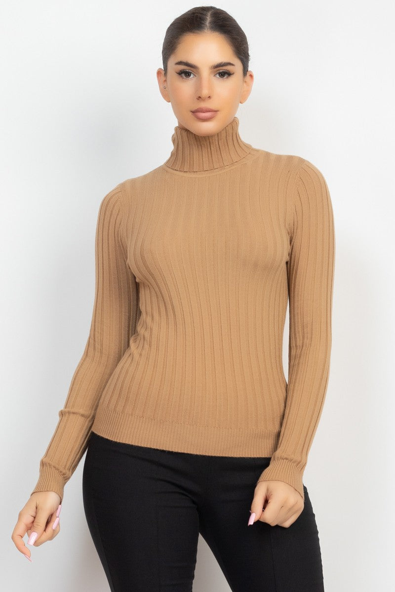 Ribbed Turtleneck Sweater